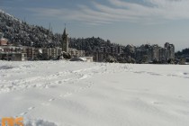 DSC02335