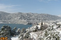DSC02339