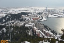 DSC02391