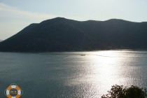 Ploce_04