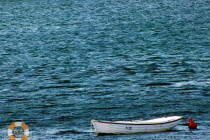 Ploce_05
